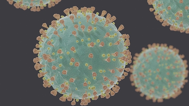 COVID-19 Virus (SARS-CoV-2) unter dem Elektronenmikroskop