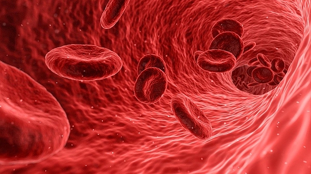 Rote Blutkörperchen in Arterie